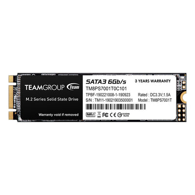 TEAM MS30 M.2 SSD SATAIII 2280 256GB R/W Speed upto 500 / 400 MB/s | TM8PS7256G0C101