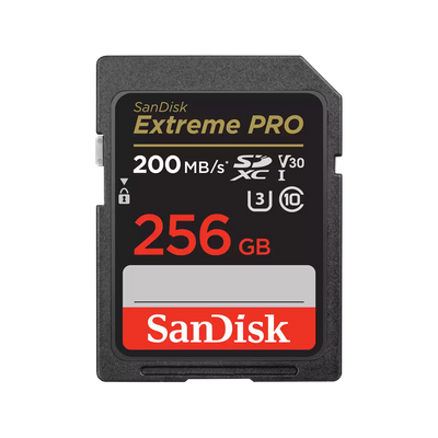 SanDisk 256GB Extreme Sdxc Card | SDSDXVV-256G-GNCIN