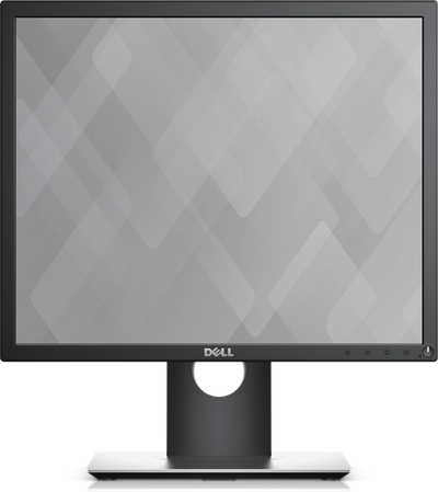 Dell Professional P1917S