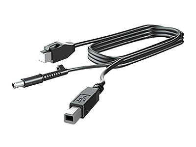 HP HP 300cm DP Cable